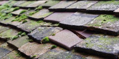 Coryton roof repair costs